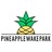 Pineapple Wakepark